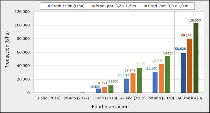 Figura 8.- Producciones anuales y acumuladas de la variedad d’Agen en Agrícola San Miguel (Peralillo, O’Higgins, Chile), hasta el quinto año de plantación con un marco de 3,5 x 1,5 m y producciones potenciales esperadas para marcos de plantación de 3,2 x 1,2 m y 3,0 x 1,0 m. 