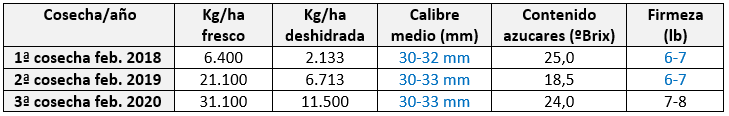 Tabla 3.- Producciones y parámetros de calidad de la ciruela d’Agen en seto correspondientes a los años 2018, 2019 y 2020 en Agrícola San Miguel (O’Higgins, Chile).