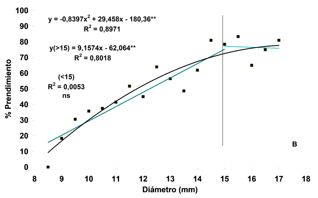 Gráfico nº 1. Línea polinómica y rectas de regresión (>15) entre 8mm hasta 15mm y (B) (<15) diámetro superiores a 15mm. Significación *0,05, **0,001 y ns. no significativo.