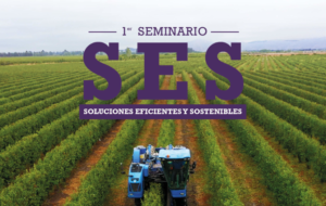 seminario ses