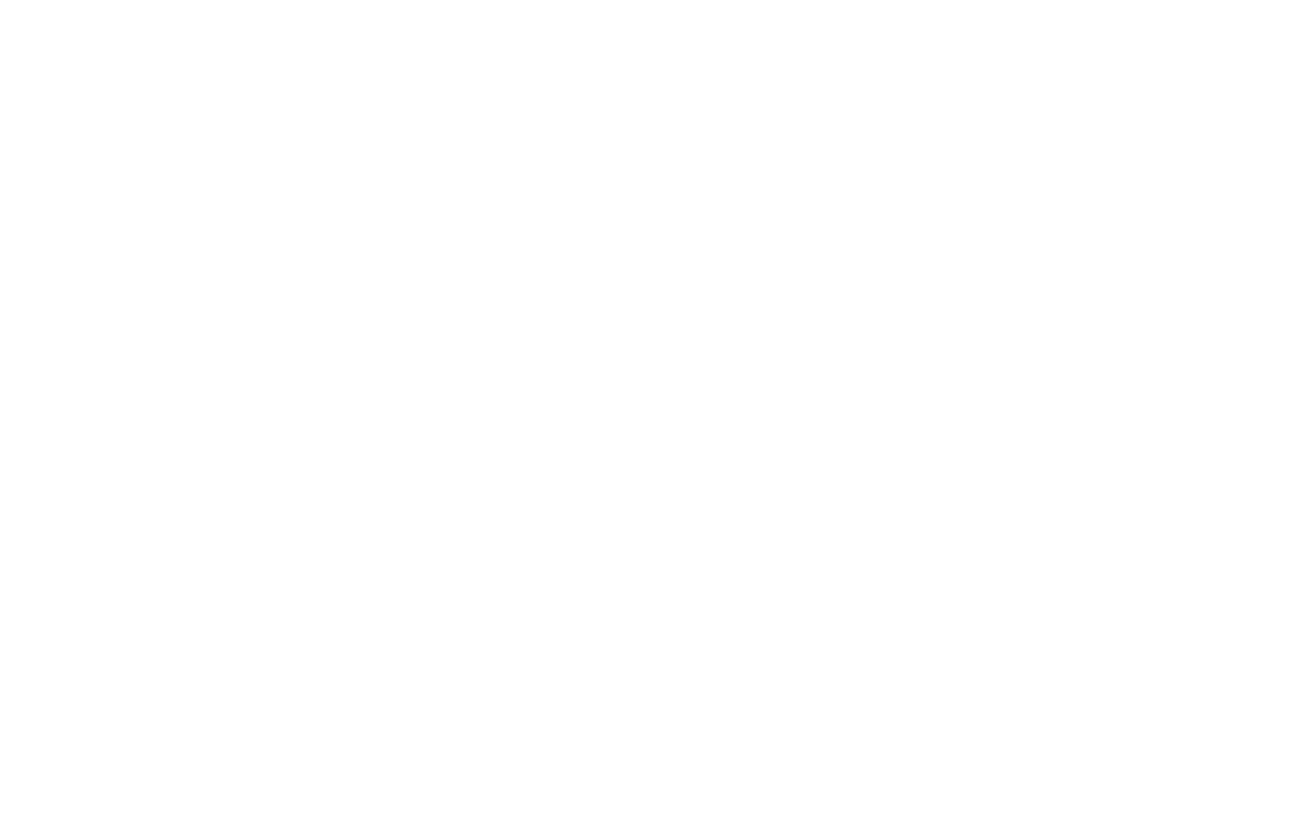 Mario Colodro: Nuevo logo FINO