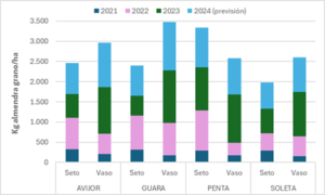 Figura 5:Producciones anuales y acumuladas (kg de almendra grano/ha) correspondientes a tres variedades de almendra en los años 2021, 2022 y 2023 para los sistemas de formación en seto (SHD) y en vaso. Finca de Dicastillo (Navarra). Plantación febrero de 2019. 