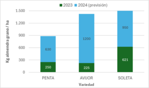 Figura 7: Producciones anuales y acumuladas (kg de almendra grano/ha) correspondientes a los años 2023 y a 2024 (previsión) obtenidas en la Finca Corona-Cachal situada en Almudevar (Huesca). Plantación noviembre de 2019. 