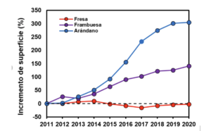 Fuente: https://www.researchgate.net/figure/Figura-1-Evolucion-relativa-de-la-superficie-de-frutos-rojos-en-la-provincia-de-Huelva_fig1_349718844 