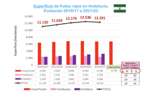 Fonte: https://www.mapa.gob.es/es/agricultura/temas/producciones-agricolas/analisiscampanafrutosrojos2021-202227abrilde2022_tcm30-619132.pdf 