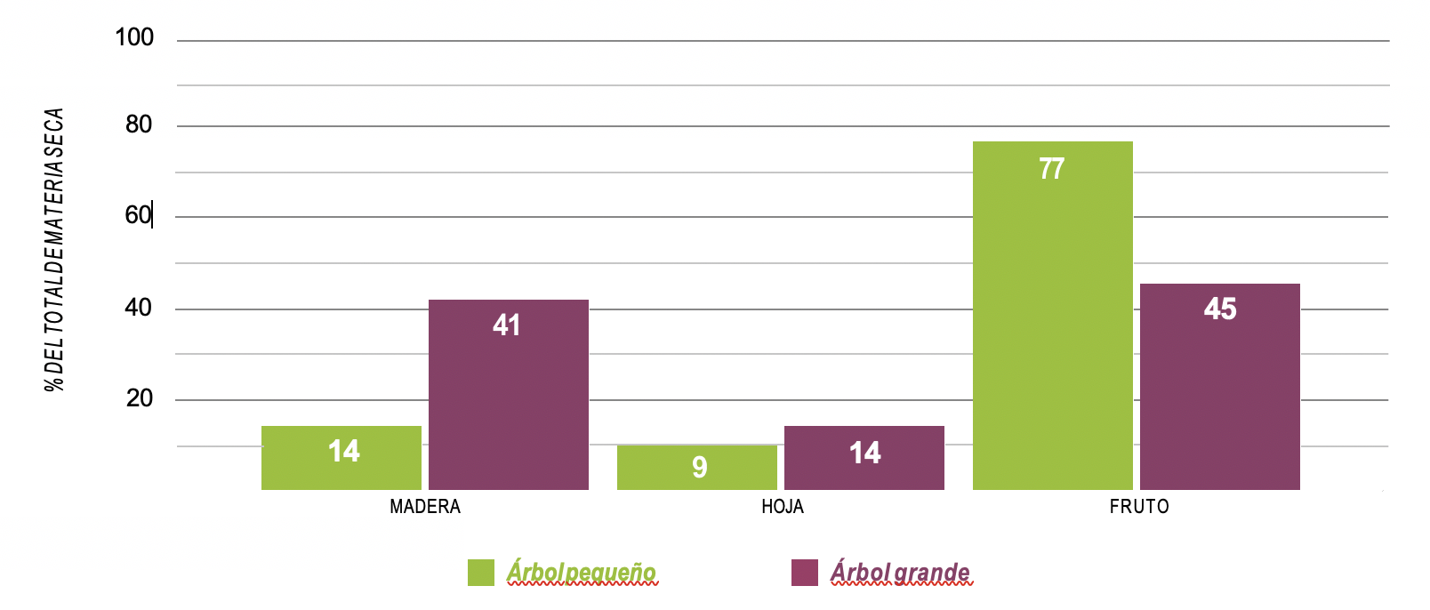 Apple tree size