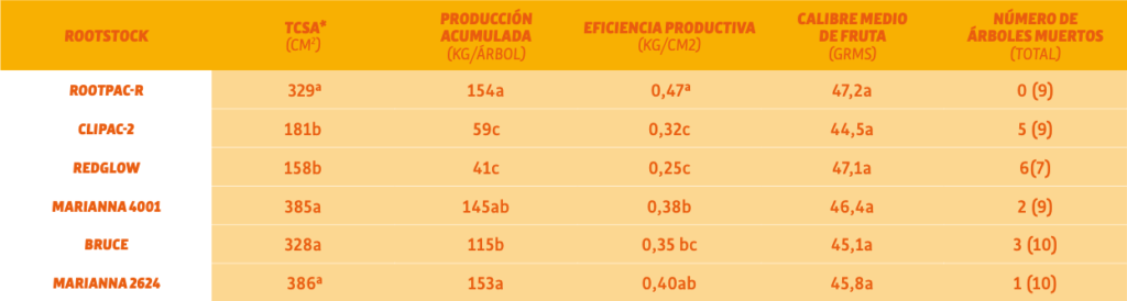 Rootpac R 