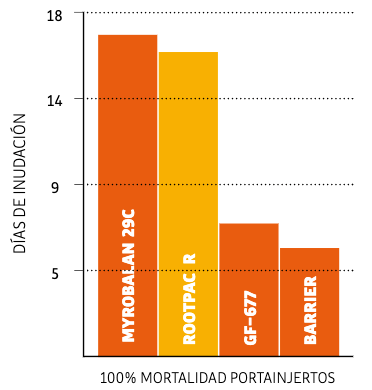 Rootpac R