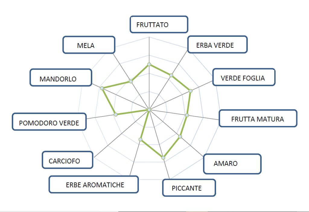 variedades olivar