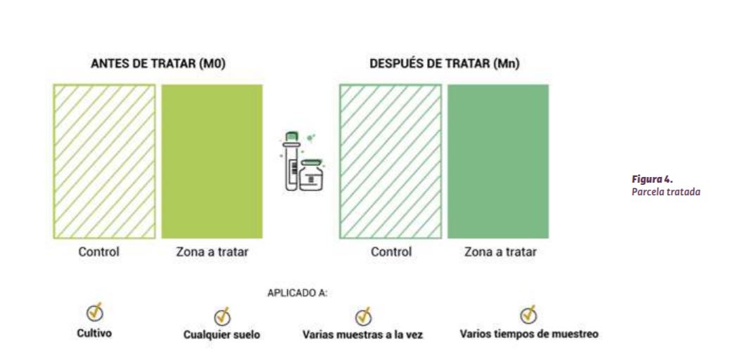 suelo vivo