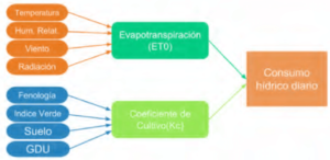 Consumo hídrico diario