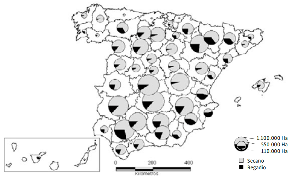 almendro en secano