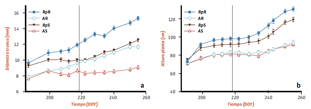 Evolución del diámetro del tronco (a) y de la altura de la planta (b) en plantas de almendro autorradicadas e injertadas sobre Rootpac20 y sometidas a distintos tratamientos de riego. Valores son las medias ± s.e.,n=20. Los símbolos representan los diferentes tratamientos: RpR (circulo relleno), AR (círculo vacío), RpS (triángulo relleno) y AS (triángulo vacío). La línea vertical representa el cambio de riego.