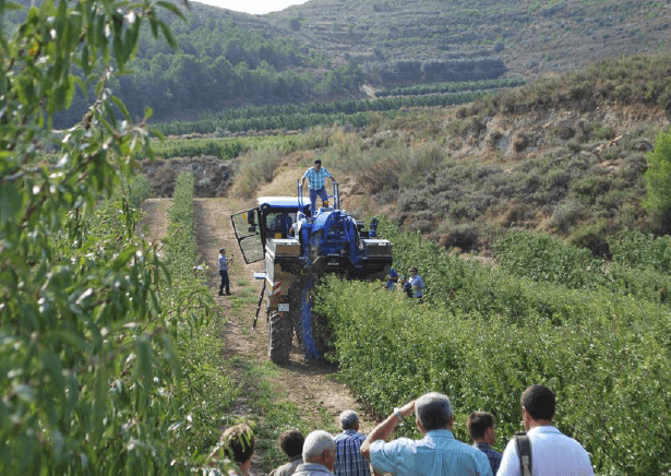 agricultura eficiente