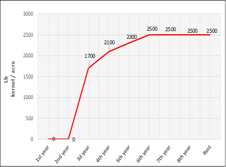 Expected yields (lb kernel/acre) during lifespan of SHD almond orchard, spacing 10 x 4 ft. 