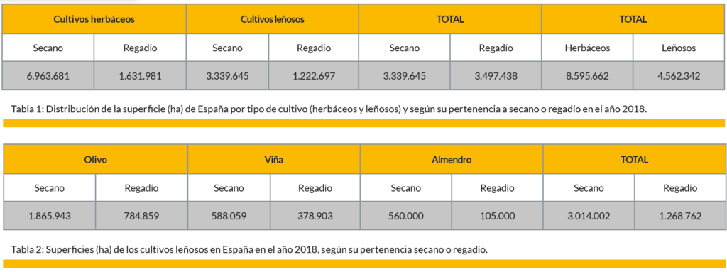 superficies de cultivos en España