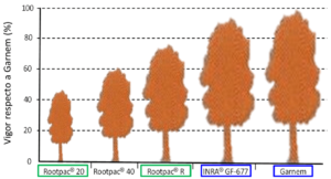 Figura 6: Vigor conferido por diferentes patrones de la serie “Rootpac®”, con respecto a los de referencia: Garnem y GF-677. 
