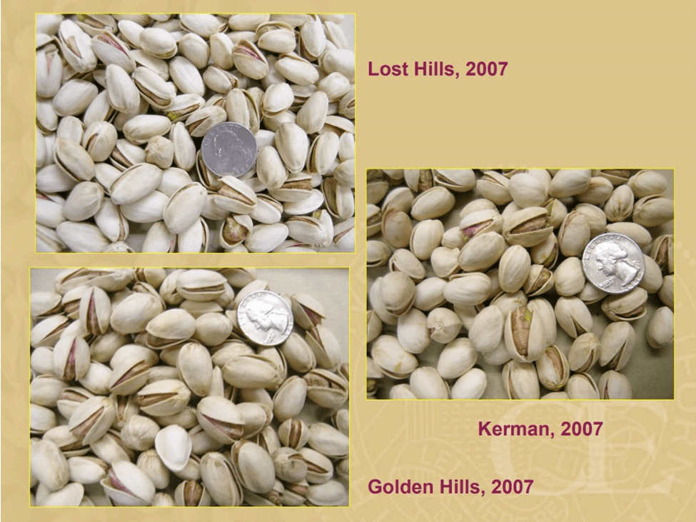 pistachio varieties