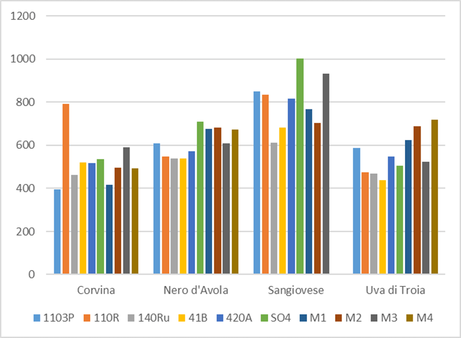 Comparación de contenido en antocianos de 4 variedades tintas sobre 10 portainjertos distintos. Datos medios de 4 ensayos en 4 zonas climáticas distintas