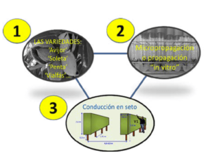 Figura 4. Los tres componentes en los que se basa el modelo de producción propuesto.