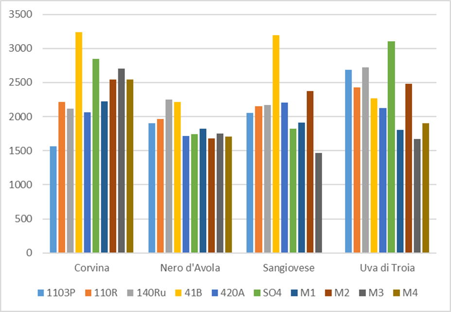 Comparación de producción por planta de 4 variedades tintas sobre 10 portainjertos distintos. Datos medios de 4 ensayos en 4 zonas climáticas distintas durante 6 años.