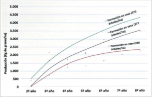 Figura 5. Efecto de la densidad de plantación en la producción anual de almendra grano (kg/ha) desde el 2º al 8º año de plantación (Fuente: Miarnau et al., 2018).