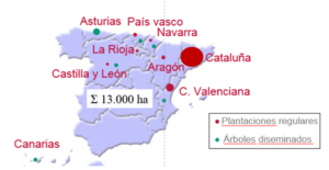 Figura 6. Distribución de la superficie de avellano en España correspondiente al año 2018 en plantaciones regulares y en árboles diseminados de las misma para el año 2018. Fuente MAPA.