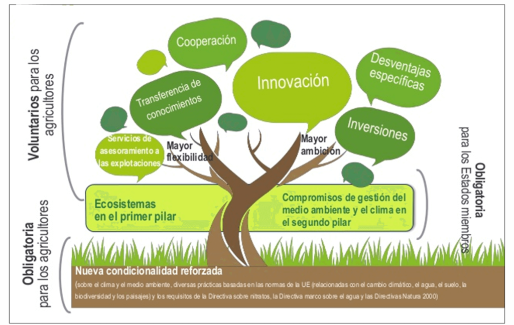 Figura 1: Esquema de la “Nueva arquitectura verde de la PAC” en el marco del Pacto Verde o “Green Deal” de la Unión Europea. 