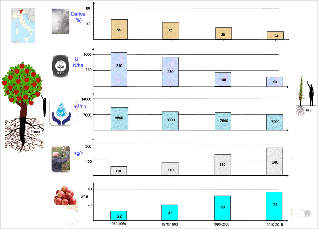 Figura 6: Evolución de las producciones de manzana (kg/ha) (inferior) y del consumo de los principales inputs, como la mano de obra para la recolección, el agua de riego, los fertilizantes y la eficiencia de los tratamientos fitosanitarios a lo largo de los períodos 1950-60 y 2010-2018, desde plantaciones en vaso con patrón franco en volumen a las intensivas y bidimensionales con M-9 en el Sur Tirol (Italia) (Fuente: Iglesias, 2019b).