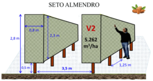 Figura 14: Sistemas de formación para el seto del almendro (superior) y del avellano (centro e inferior), con los correspondientes marcos de plantación y volúmenes productivos.