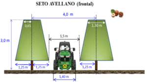 Figura 14: Sistemas de formación para el seto del almendro (superior) y del avellano (centro e inferior), con los correspondientes marcos de plantación y volúmenes productivos.