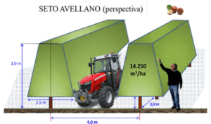 Figura 14: Sistemas de formación para el seto del almendro (superior) y del avellano (centro e inferior), con los correspondientes marcos de plantación y volúmenes productivos.