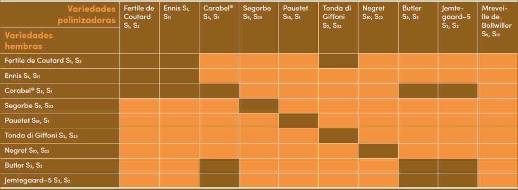 Tabla 2: Compatibilidad polínica entre 10 variedades de avellano, indicándose los alelos de incompatibilidad. Fuente: “Le Noisetier“, Ctifl (France).