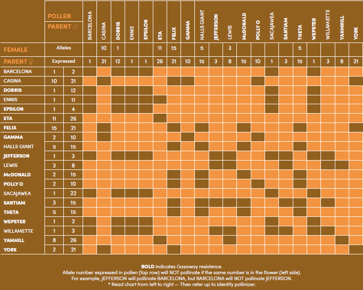 Tabla 3: Compatibilidad polínica de variedades de avellano, indicándose los alelos de incompatbilidad. Fuente: Oregon State University, Hazelnut Breeding Program (USA).