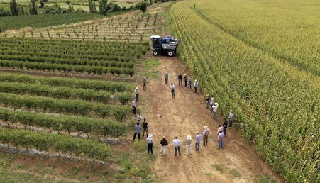 Charla técnica, se aprecia a un costado el cultivo tradicional de maíz.