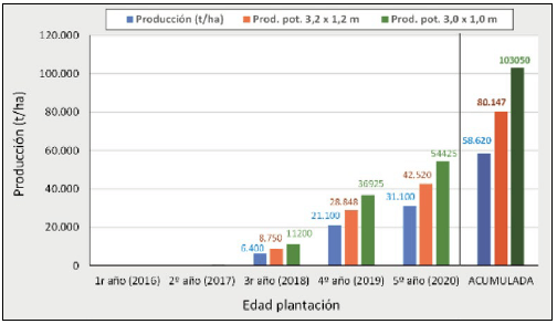 Figura 17. Producciones anuales y acumuladas de la variedad ’Agen’ en Agrícola San Miguel (Chile), hasta el quinto año de plantación con el marco real de 3,5 x 1,5 m (barras azules) y producciones potenciales esperadas para marcos de plantación de 3,2 x 1,2 m y 3,0 x 1,0 m.