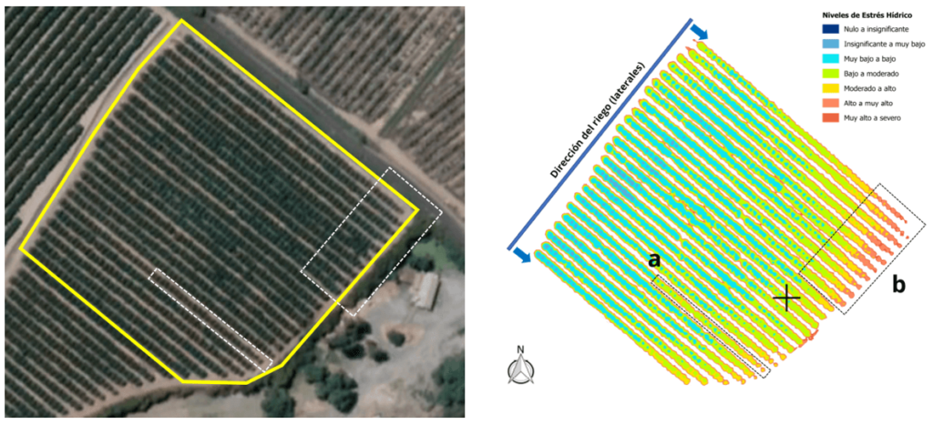 Figura 3: Diagnóstico Hídrico realizado en huerto de mandarinos, en la Zona Central de Chile, donde se observa el efecto de un lateral de riego obstruido (a) y emisores de riego tapados con sedimento al final de los laterales (b).