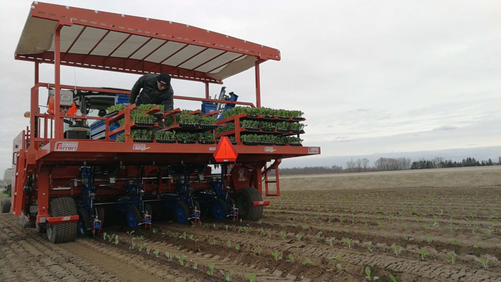 Figure 4. FUTURA Field Transplanter by Ferrari