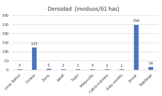 Figura 18. Densidad de las especies encontradas en la finca ‘Villa de Río’ a través del muestreo. Nota: en el caso del conejo, la gráfica refleja los avistamientos realizados en los transectos lineales, pero tanto por las fotos tomadas como los excrementos encontrados se estima que su población pueda ser superior.