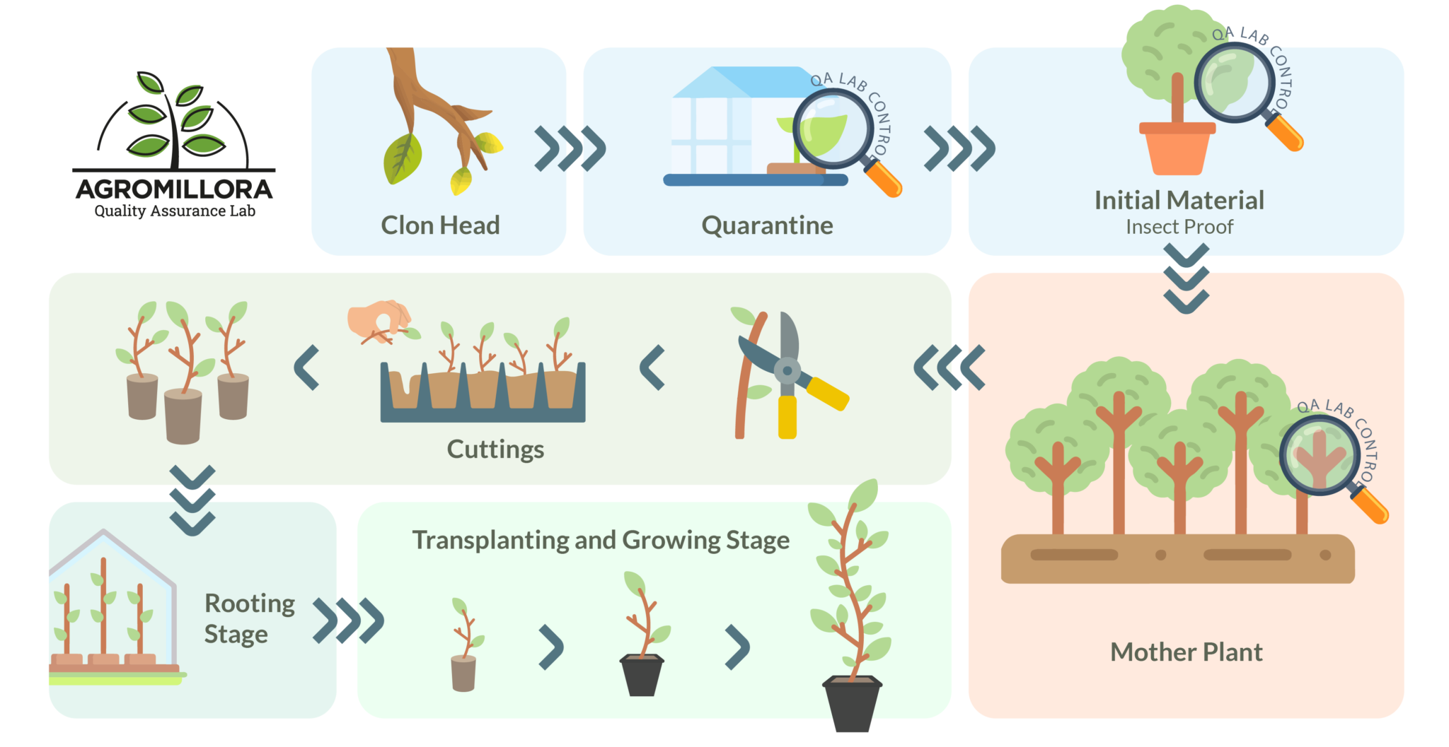 role-of-quality-control-in-production-management-mba-tuts