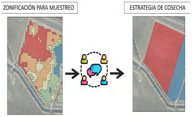 Ejemplo de zonificación previa a cosecha y transformación para diferentes momentos de cosecha o diferentes productos.