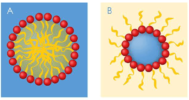 Nano Tecnología