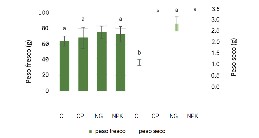 valores medios peso freso y seco