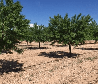 Los suelos son un sistema complejo, diverso y cambiante