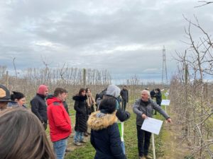 Observación de resultados en campo