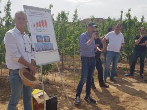 Visita a la finca de Vivers Viladegut