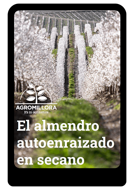 EBOOK-almendro-autoenraizado-agromillora-group