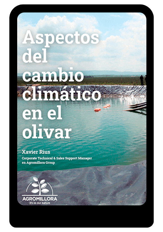 EBOOK-aspectos-cambio-climatico-agromillora-group