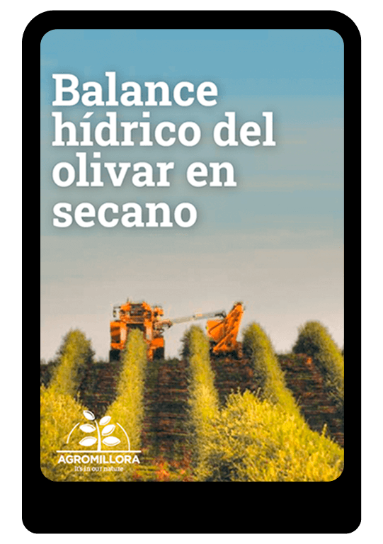 EBOOK-balance-hidrico-olivar-secano-agromillora-group