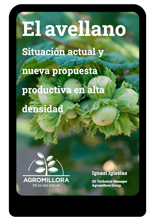 EBOOK-el-avellano-agromillora-group